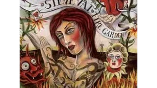 Steve Vai   Cover of Fire  / jimi hendrix
