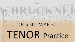 Bruckner / Os justi - Tenor 1 practice