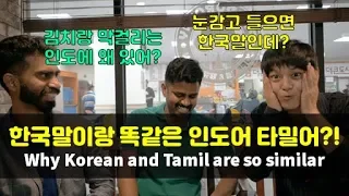 Why Korean and Tamil(southern India) are so similar?