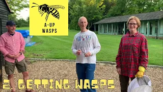 How to remove a wasp nest... and put it into your research box. A-UP Wasps! Episode 2.