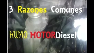 Razones para que el MOTOR Diésel tire HUMO🏆