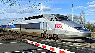 [Compilation] - Trains SNCF TGV, TER, Intercités, OUIGO autour du Mans