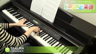 SAKURA / いきものがかり : ピアノ(ソロ) / 上級