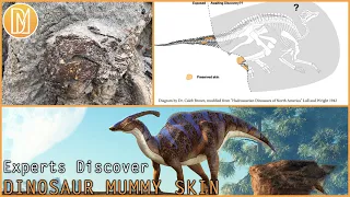 Experts Discover Rare Dinosaur Mummy With Some Fossilized Skin