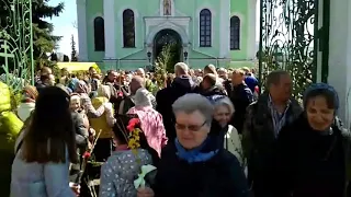 Брестчане отмечают Вербное воскресенье, несмотря на пандемию коронавируса