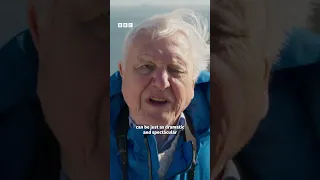 We all love Sir David back on our screens ❤️  #WildIsles #iPlayer #DavidAttenborough