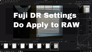 Fuji Dynamic Range Settings DO Apply to RAW Files