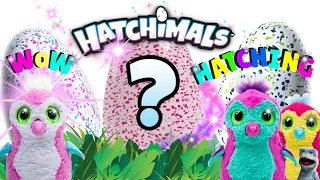 NEW HATCHIMALS TOYS UNBOXING and HATCHING with SURPRISE TOYS UNBOXING REVEAL