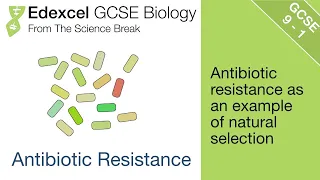 Edexcel GCSE Biology - Antibiotic Resistance and Natural Selection