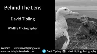 Behind The Lens: Interview with David Tipling Wildlife Photographer