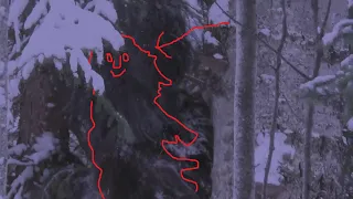 the Bigfoot Sighting Near Banff National Park, Alberta Canada video