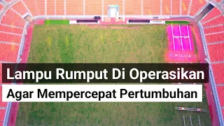 rumput lapangan utama jis semakin membaik growlight di operasikan jakarta international stadium