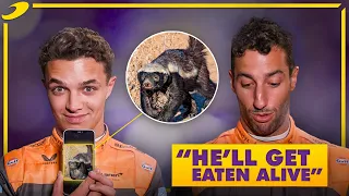 Formula 1 Smash or Pass with Lando Norris & Daniel Ricciardo