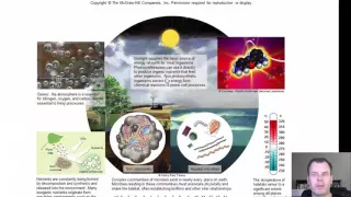 Chapter 7 - Bacterial Nutrition