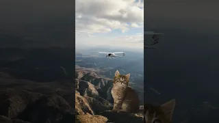 Plane and Giant Cat 🚁 #trending #viral #vfx #giant #cat