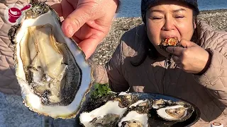 The Best Way to Eat Oysters! l Yainang