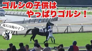 ゴールドシップ産駒に振り回される団野騎手！