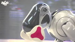 Aibo - Sony Robo Dog 相棒