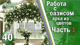 Работа с Оазисом Как Крепить Оазис к вертикальной поверхности Видео урок Часть 1 / Студия Флористики