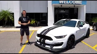 Is the 2019 Ford Shelby GT350R BETTER than the 2020 GT500?