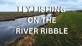 Ep 25 - Grayling Fly Fishing on the River Ribble