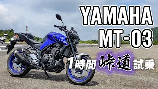 MT-03 2020 YAMAHA【試乗レンタル】自分用乗り換え参考レビュー【モトブログ】