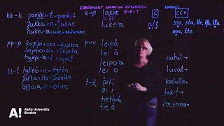 Finnish Language: Consonant changes