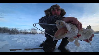 ПОСЛЕДНЯЯ НОЧЬ В ИЗБЕ, ТОПЛЮ БАНЮ  ЩУКА, НАЛИМ, ХАРИУС - ЕСТЬ РЫБА! НЕДЕЛЮ НА РЫБАЛКЕ, ЕДУ ДОМОЙ!!!