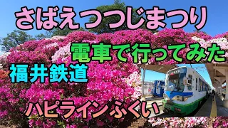 【さばえっつじまつり】に電車で行ってみました。5万株のつつじが公園内を彩りまつりは賑やかでした。ハピラインふくから福井鉄道に乗り換えていきます。福井鉄道は、いろいろな電車があり楽しかったです。