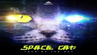 Space Cat - Loops of Insanity