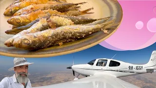 Gastronomy Cirrus flight to the south of Spain, Jerez, LEJR