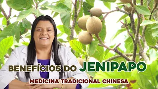 Os Benefícios do Jenipapo - MTC (Dicas de Saúde)