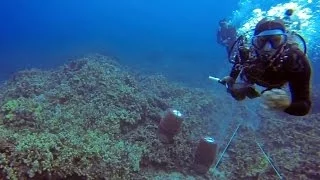 Shocking underwater assault caught on camera off Kona, Hawaii