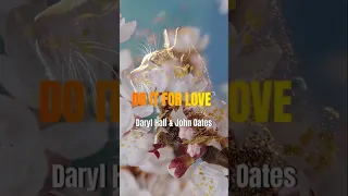 Do it for Love  #darylhall #johnoates #hallandoates #doitforlove #shorts #cats