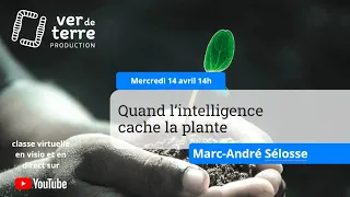 Quand l'intelligence cache la plante, avec Marc-André Sélosse