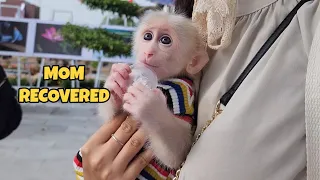 Baby Monkey SUGAR Very Happy Mom Recovered Hugging Mom Tightly
