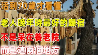 活到70歲才看懂：老人晚年時最好的歸宿，不是呆在養老院，而是這兩個地方，越早知道越好｜禪語點悟