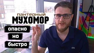 Пантерный Мухомор / Найти самого себя...