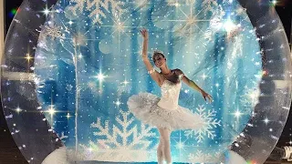 Snow globe Ballerina and Poinsettia princess/ Contains Copyright material