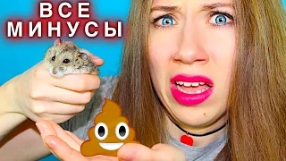 ХОМЯК - ВСЯ ПРАВДА ! КАКАЕТ МНЕ НА РУКИ ВСЕ МИНУСЫ ХОМЯКОВ | Elli Di Pets