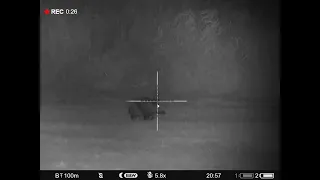 Pulsar Digex C50 xs 940 Hunting Wild Boar No shot Poland.Polowanie na dziki