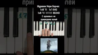 Марк Бернес Журавли на пианино 🎹 Обучение ноты в конце видео