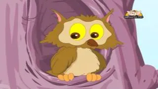 Nursery Rhymes - Wise Old Owl