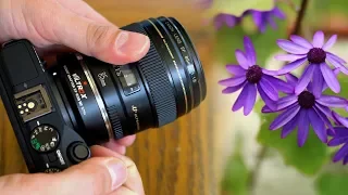 'Full-frame' images on Canon EOS M? Viltrox EF-EOS M2 0.71x Adaptor review