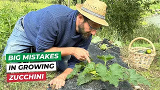 Growing ZUCCHINI: ITALIAN METHOD to have the BEST