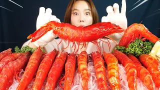 [Mukbang ASMR] 세상에서 가장 비싼 새우🤑! 붉은 카나비네로 새우🦐 Carabinero Red King Prawn Shrimp Eatingshow Ssoyoung