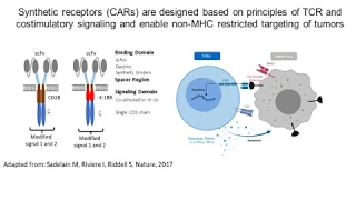 Deciphering CAR-T Cells: Exploring Functional Mechanisms to Drive Next Generation Immunotherapy