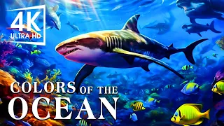 The Colors of the Ocean, The Sound Of Nature - The Best 4K Aquarium