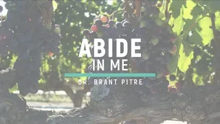 Abide in Me - The Vine and the Branches