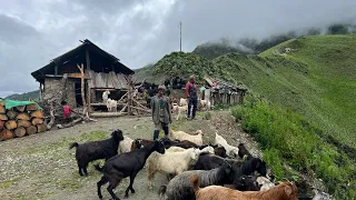 Discovering the Secrets of Living in Balance with Nature in Nepal: Nepali Mountain Life || IamSuman